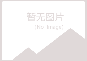 山西夏青能源有限公司